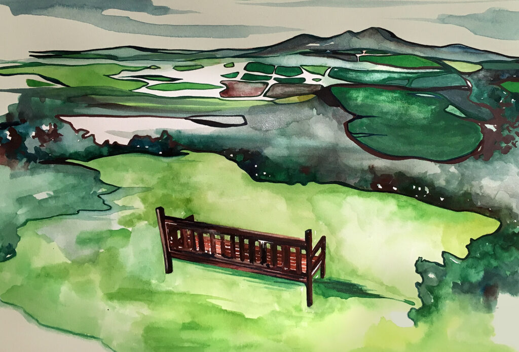 Executive management, master planning, and marketing for the cemetery and funeral industry